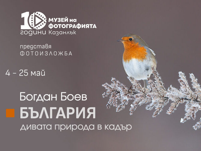 Boev-Facebook-cover