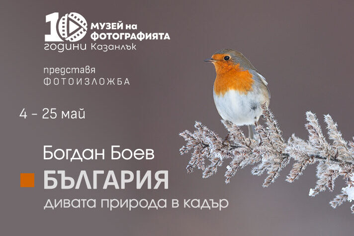 Boev-Facebook-cover