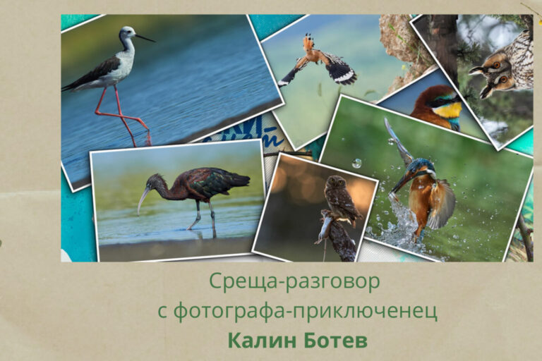 Cream Beige Brown Photo Collage Personal Facebook Cover