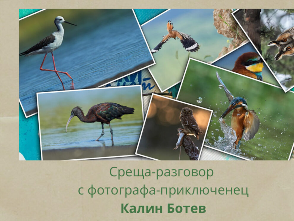 Cream Beige Brown Photo Collage Personal Facebook Cover