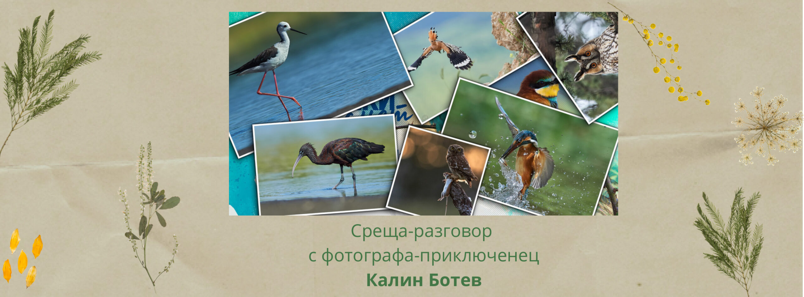 Cream Beige Brown Photo Collage Personal Facebook Cover